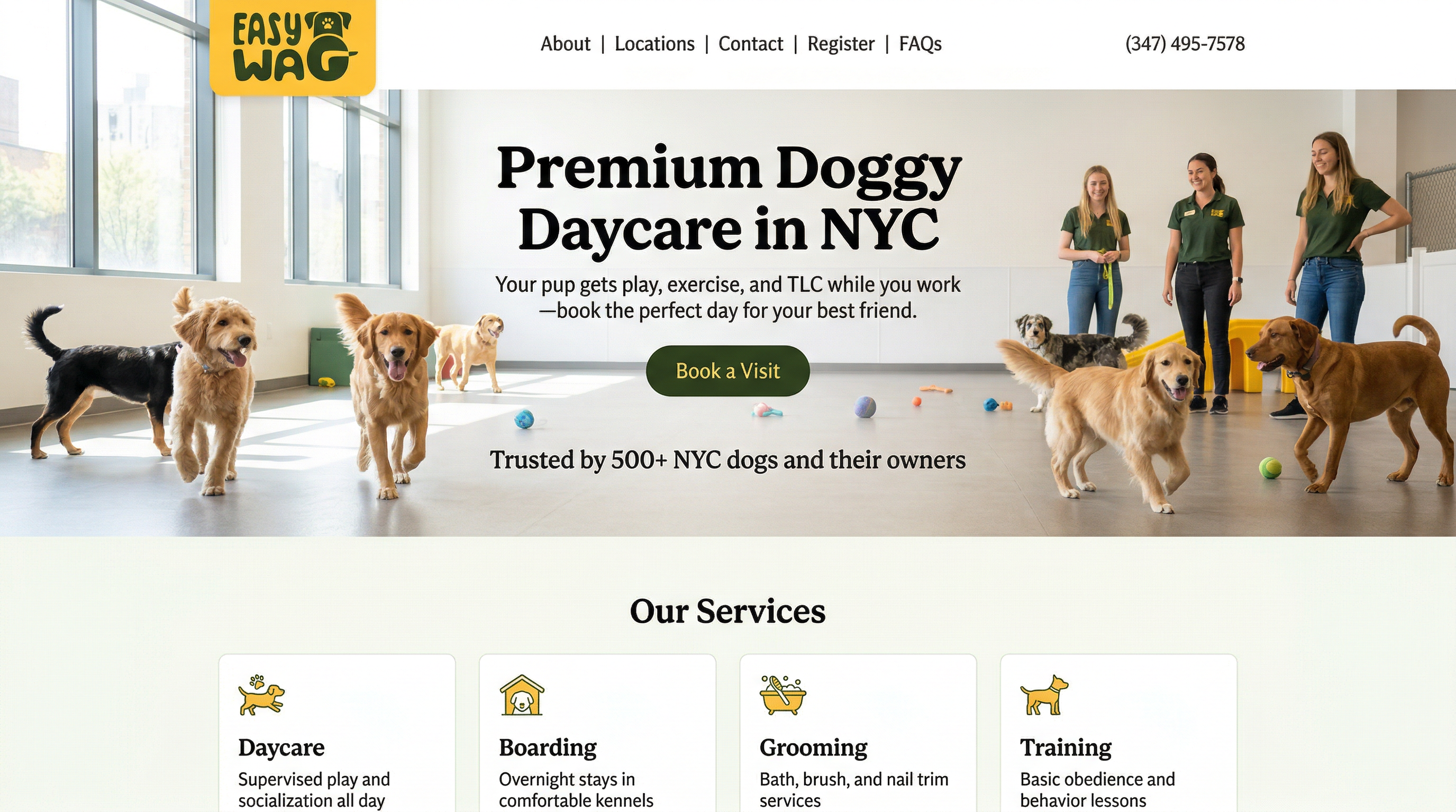 Easy Wag FiDi website preview