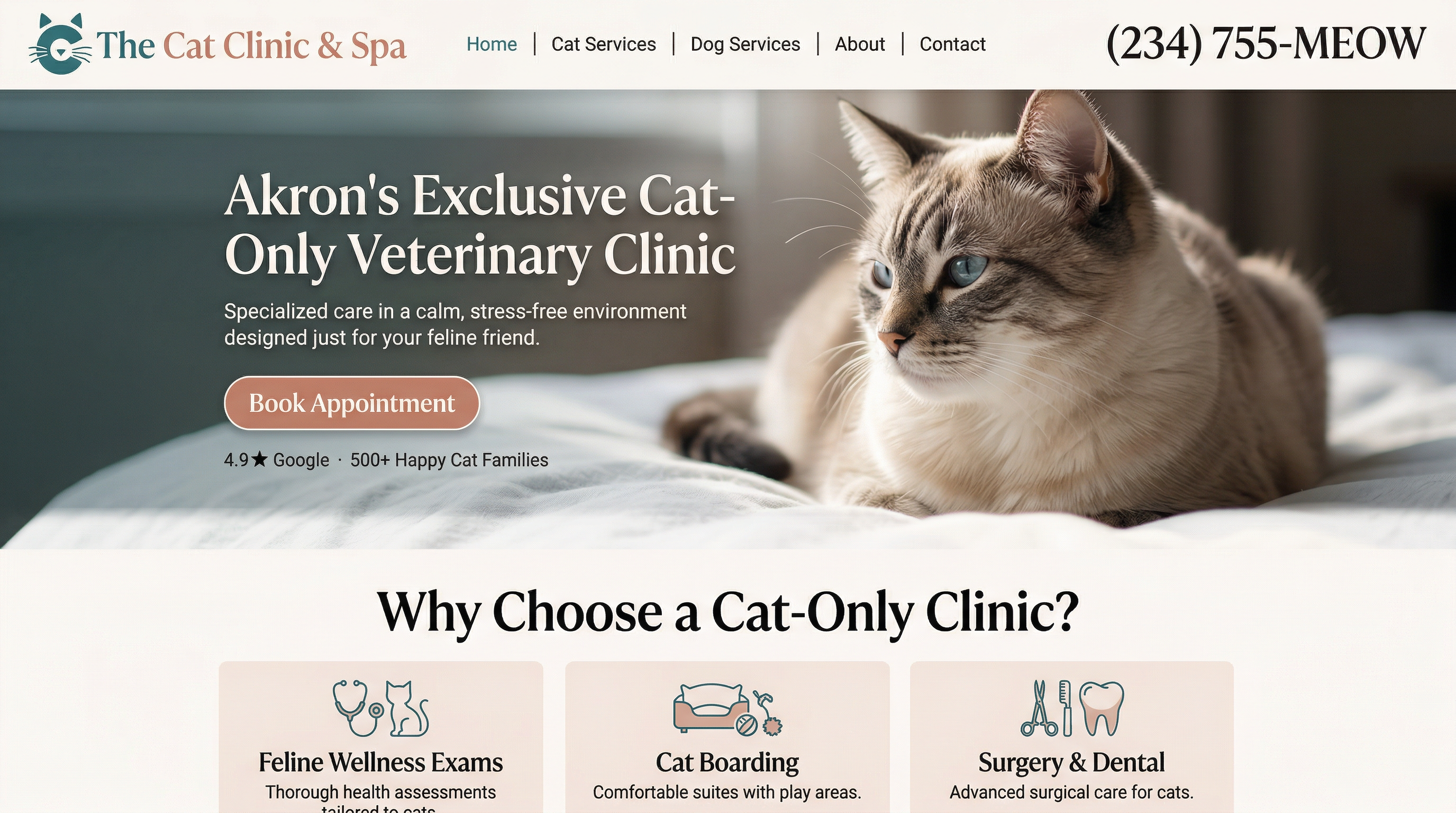 The Cat Clinic and Spa website preview