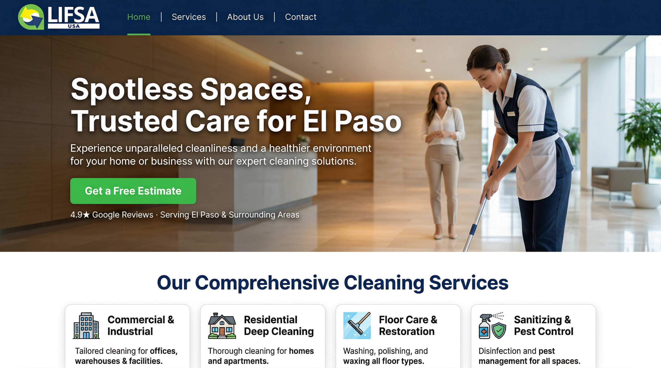 LIFSA USA website preview